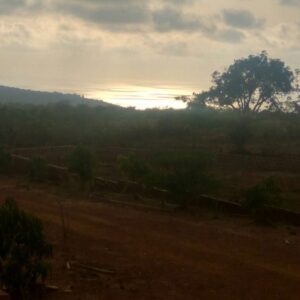 WhatsApp Image 2022-04-05 at 11.54.44 AM