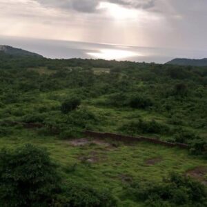 WhatsApp Image 2022-04-05 at 11.54.49 AM (1)